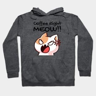 Coffee right meow funny cat Hoodie